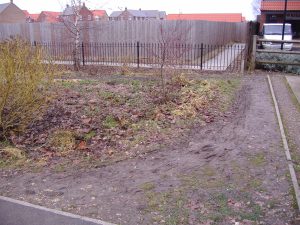 Planted area after rubbish cleared